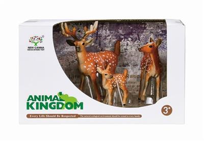 The lion four suits - OBL743666