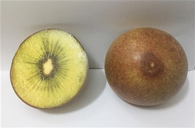 Kiwi fruit slow springback simulation - OBL747270