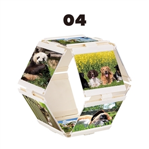 Photo wall - OBL750140