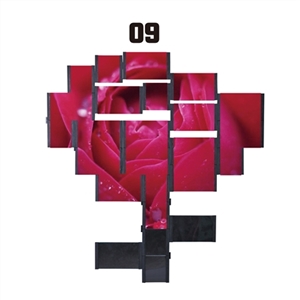 Photo wall - OBL750145