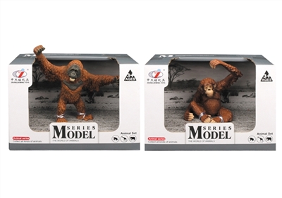 Wild animal models - OBL755263