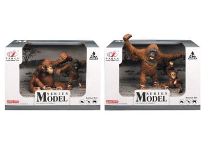 Wild animal models - OBL755313