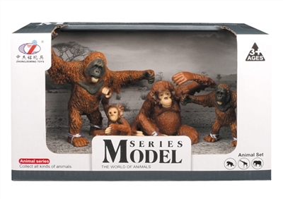 Wild animal models - OBL755318