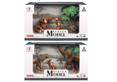 Wild animal models - OBL755346