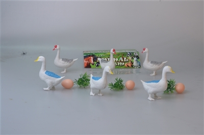 Three geese and ducks accessories - OBL758815