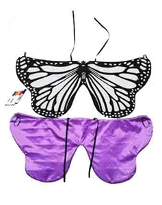 DIY涂色蝴蝶翅膀 - OBL759517