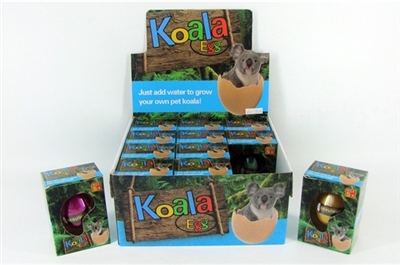 Color expansion koala hatching egg 12 PCS - OBL767618