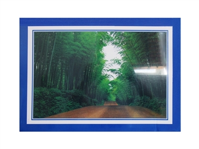1000 PCS of the puzzle - OBL770679