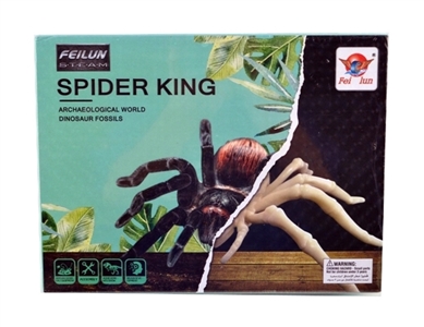 Fossil collections - excavation spider (big box) - OBL774820