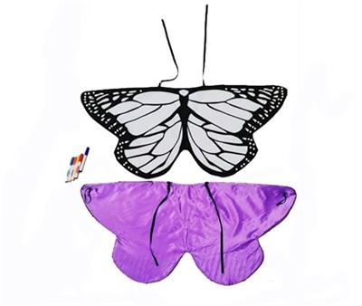 Diy painted butterfly wings - OBL805797