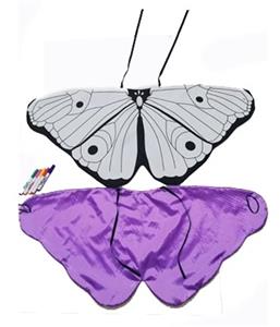 DIY color butterfly wings - OBL805801