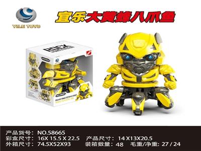 Bumblebee octopus - OBL806519