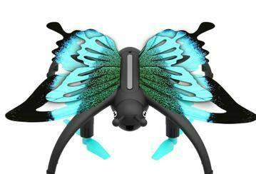 Butterfly flying 480 p (WiFi) - OBL807310