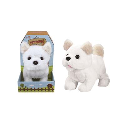 Electric chihuahua - OBL812598