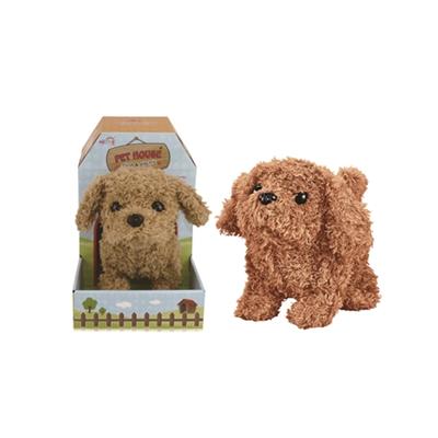 Electric teddy dogs - OBL812599