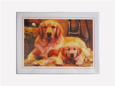 500pcs puzzle - OBL820447