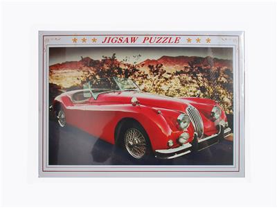 1000 PCS PUZZLE - OBL825889