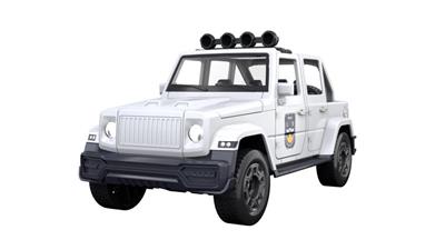 ASSEMBLED POLICE CAR - OBL826815