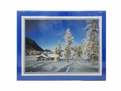 1000 PIECES OF MOSAIC OF WINTER SCENERY (75X50CM) - OBL834789