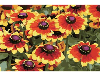 DIY digital oil painting Sunflowers. - OBL834921