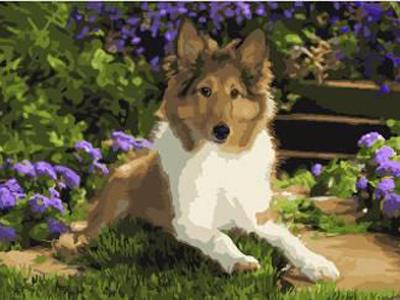 DIY Digital Oil Painting Garden Puppy. - OBL834959