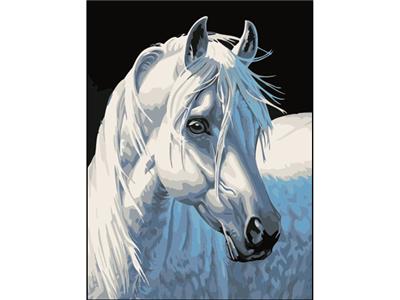 DIY digital painting horses - OBL834961