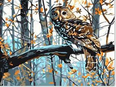 DIY digital painting The owl - OBL834975