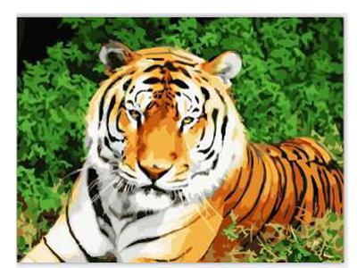 DIY digital painting Lie tiger - OBL834979