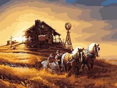 DIY DIGITAL OIL PAINTING HARVEST - OBL834981