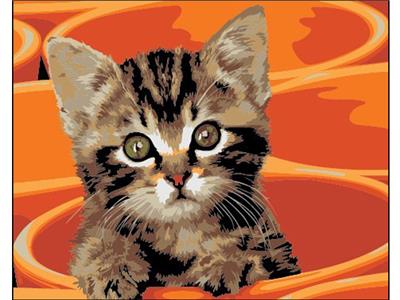 DIY Digital Oil Painting Cute Cat. - OBL835019