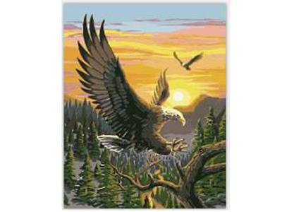 DIY digital painting The eagle - OBL835022