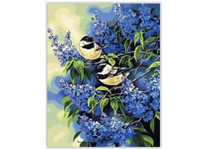 DIY digital painting birds - OBL835029