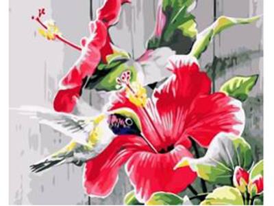 DIY DIGITAL OIL PAINTING HUMMINGBIRD - OBL835069