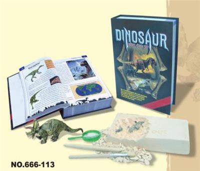 COLORFUL DRAGON IN BOOK BOX - OBL835094