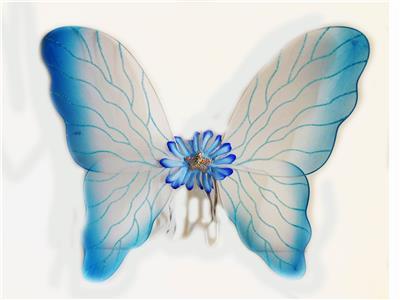 BUTTERFLY WINGS - OBL837455