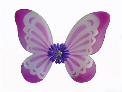 BUTTERFLY WINGS - OBL837460