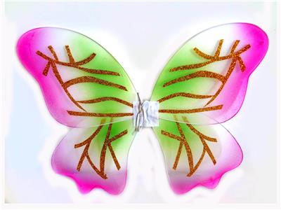 BUTTERFLY WINGS - OBL837483