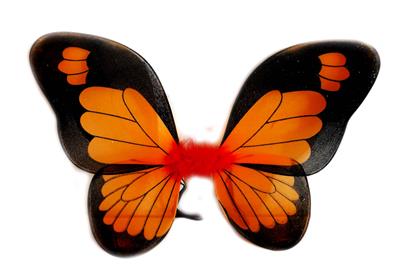 BUTTERFLY WINGS - OBL837494