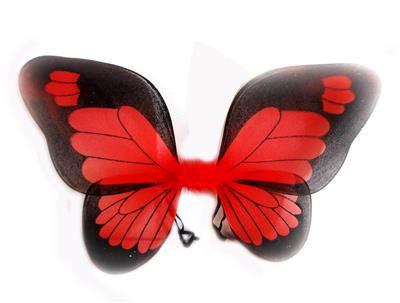 BUTTERFLY WINGS - OBL837495