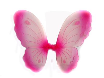 BUTTERFLY WINGS. - OBL837503