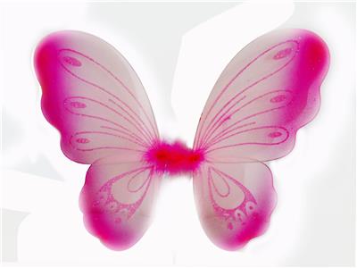 BUTTERFLY WINGS - OBL837504