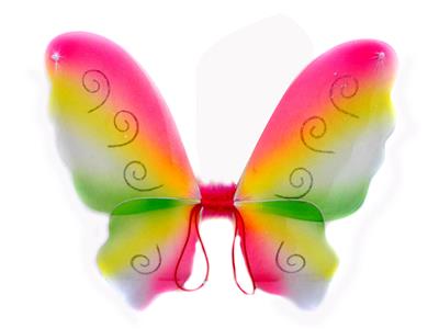 BUTTERFLY WINGS - OBL837507