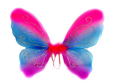 BUTTERFLY WINGS - OBL837508