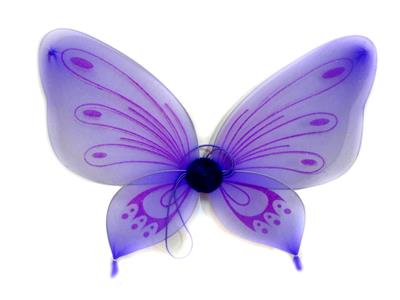 BUTTERFLY WINGS - OBL837512