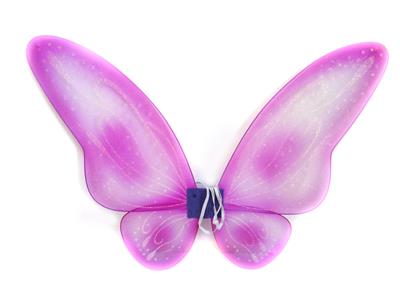 BUTTERFLY WINGS - OBL837517