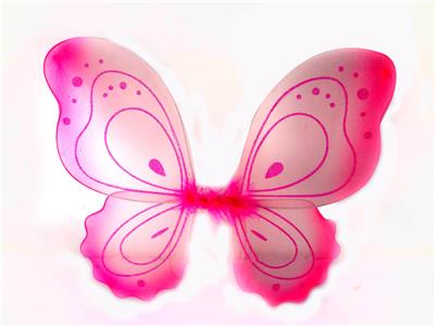 BUTTERFLY WINGS - OBL837532