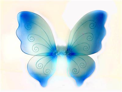 BUTTERFLY WINGS - OBL837533