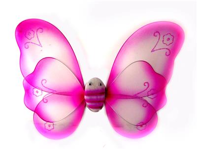 BUTTERFLY WINGS - OBL837535