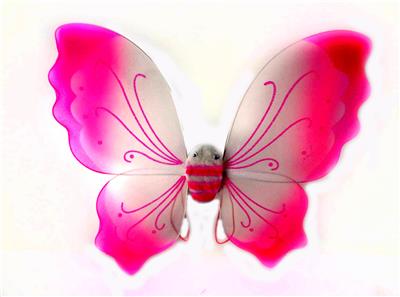 BUTTERFLY WINGS - OBL837539