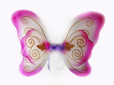 BUTTERFLY WINGS - OBL837545